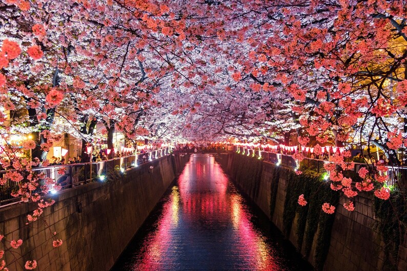 Tokyo river